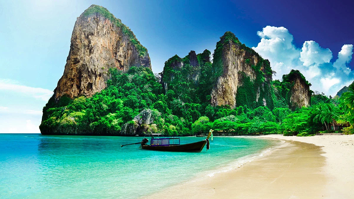 travel agency,travel company,ტურისტული სააგენტო ,trippoint trippoint,travel agency,tours