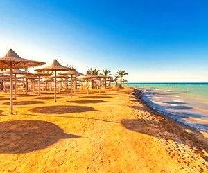 trippoint,travel agencu, ტურისტული სააგენტო,Sarm el sheikh,egypt,ეგვიპე,Шарм Эль Шейх,Египет,შარმ ელ შეიხ